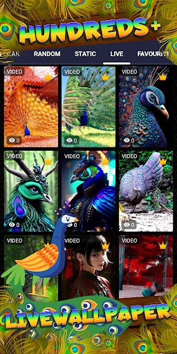 peacock wallpaper Screenshot 3 - AppWisp.com