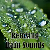Relaxing Rain Sounds Radios icon