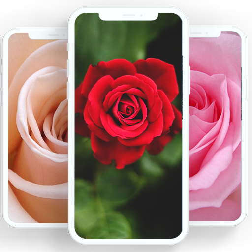 Rose Wallpaper Google Play のアプリ