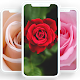 Rose wallpaper Download on Windows