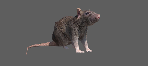 Android application Horizontally Rotating Rat .Exe screenshort