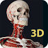 Human Anatomy 3D 1.50