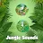Download Jungle Sounds Effects 3D APK for Windows