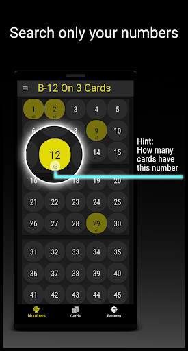 Snap Bingo Caller & Verifier screenshot 1