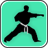 Learn Kung Fu Techniques8.0.4