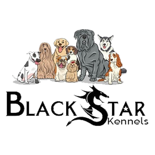BlackStar Kennels- Adopt a pet logo