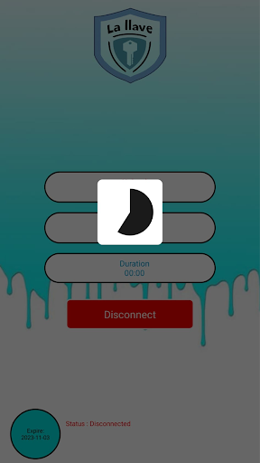La llave vpn Screen 3