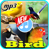 Bird Chriping Master Complate Mp3 icon