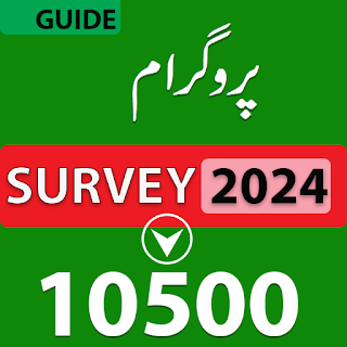 Survey Ehliat Guide 2024