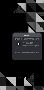 HBNI Audio Stream Listener APK for Android Download 5