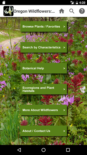 Screenshot of Oregon Wildflowers