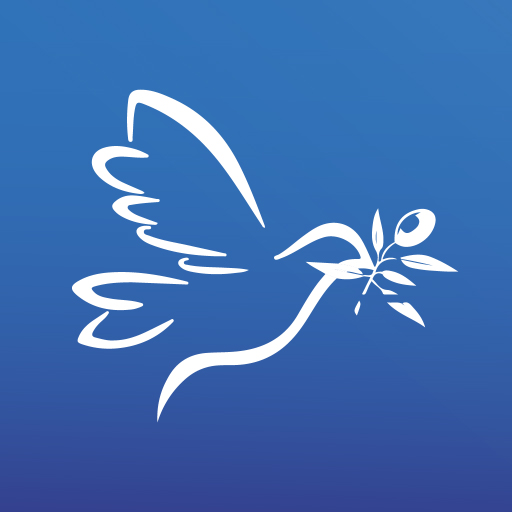 ICERMediation logo