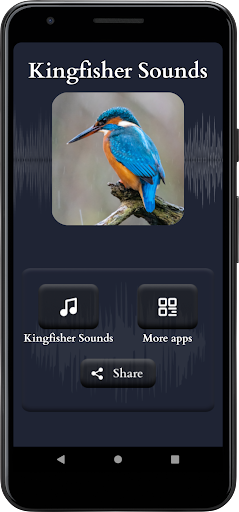 Kingfisher Sounds Screen 2