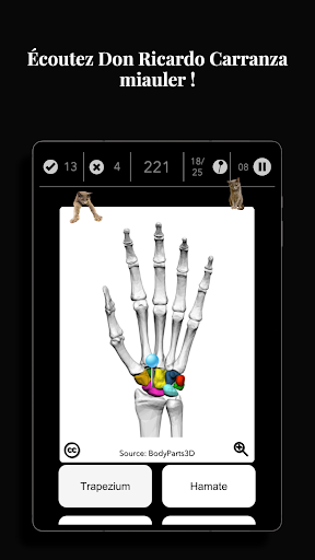 Anatomist - Le Jeu d'Anatomie screenshot 11