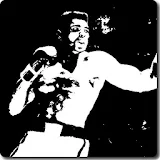Boxing Chrono Evo icon
