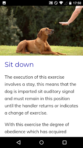 Canine Training Course Screen 3