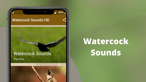 Watercock Sounds Screenshot 1 - AppWisp.com