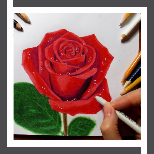Learn to Draw Roses Flower logo