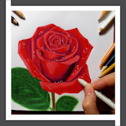 Learn to Draw Roses Flower Step by Step