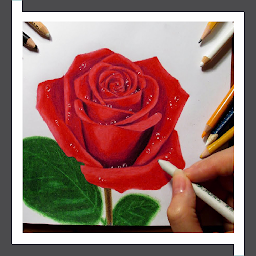 「Learn to Draw Roses Flower」圖示圖片