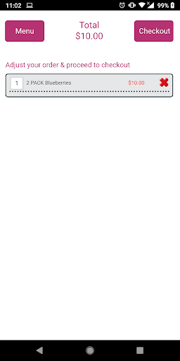 natPOS Xpress Screen 3