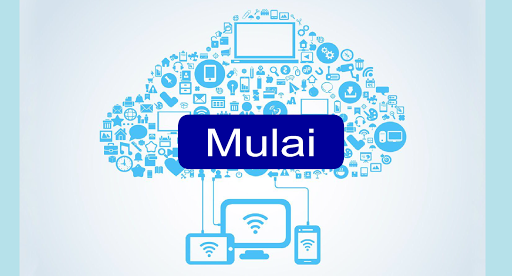 MEDIAKU media gaya belajar ja