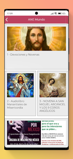 Miembros del ANE Screenshot 1 - AppWisp.com