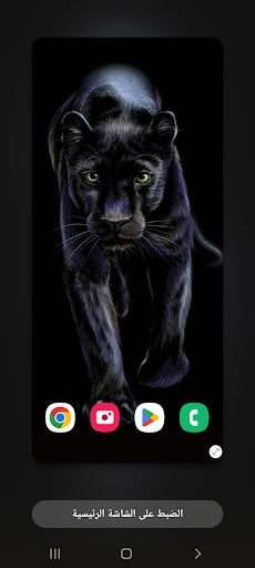 2022 Wallpapers Tigers (1) 4K Screen 2