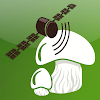 Fungipedia icon
