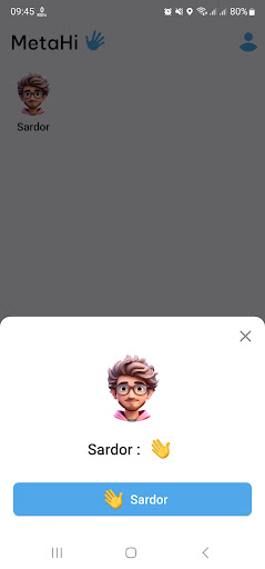 MetaHi Screen 2