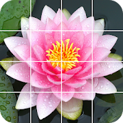 Top 40 Puzzle Apps Like Tile Puzzle: beautiful flowers - Best Alternatives