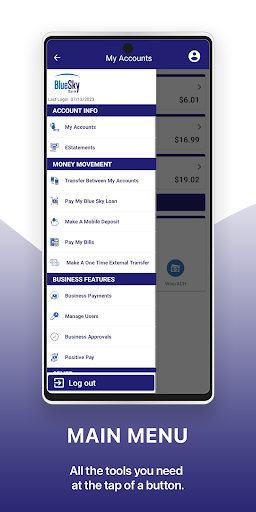 Blue Sky Bank Business Screen 3