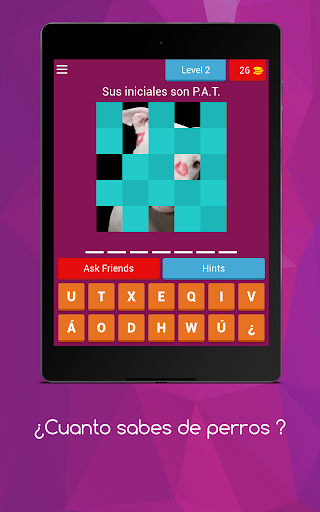 ¿Cuanto sabes de perros?