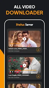 Video Downloader - Story Saver