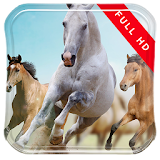 1st Person Horse Riding LWP icon