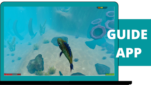 Guide for fish feed and grow 2021