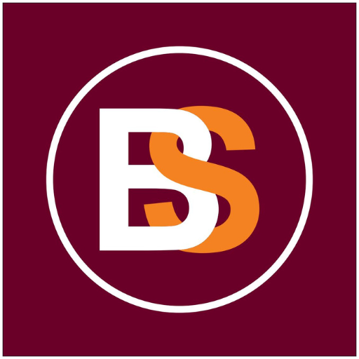 BS INSTITUTE logo