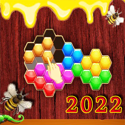 Hexa Puzzle Block - 2022
