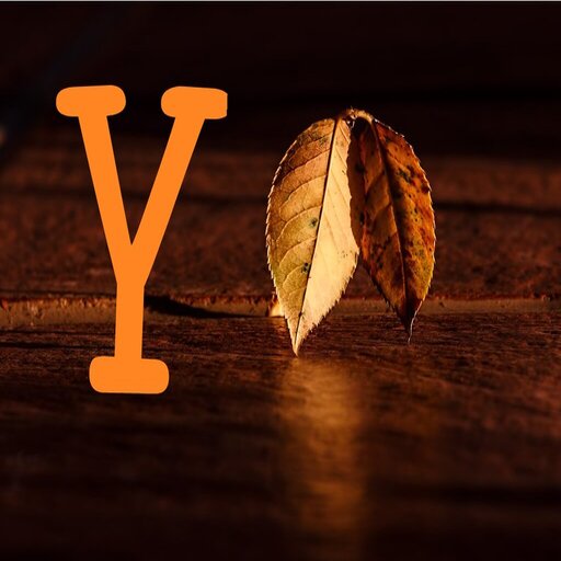 صور حرف Y- خلفيات و رمزيات y logo