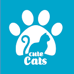 Cover Image of ダウンロード كيوت كاتس | Cute cats  APK