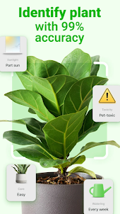 Leavif - Plant identifier