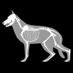 Icon image 3D Dog Anatomy
