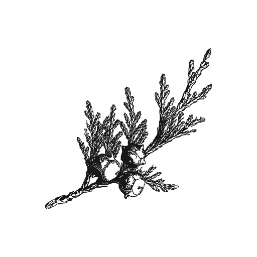Cedar Lodge on Honey Creek logo