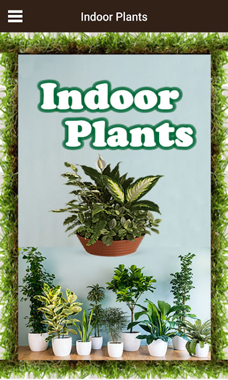 Indoor Plants - 100.6 - (Android)