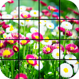 Garden Flowers Puzzle Games icon