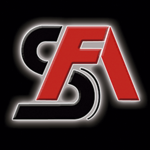 Shunfa Decoración logo