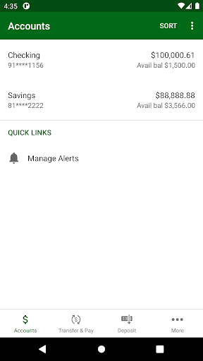 Laona State Bank Screen 3