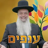 ענפים - הרב יגאל כהן icon