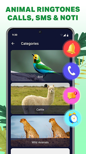 Anteprima dell'app