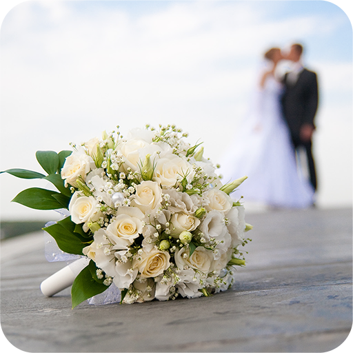 SunWedding logo
